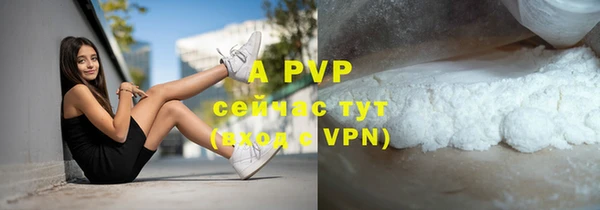 гидра Алексеевка